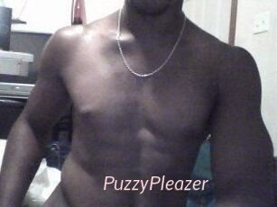 PuzzyPleazer