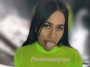Pamelawaynex