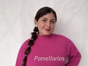 pamellarios xxx Free Sites