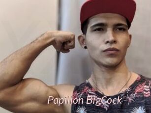 Papillon_BigCock