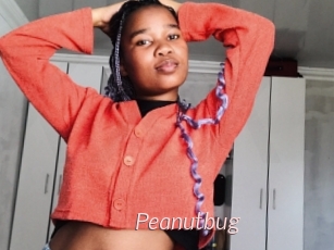 Peanutbug