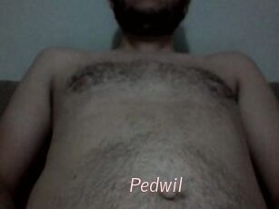 Pedwil