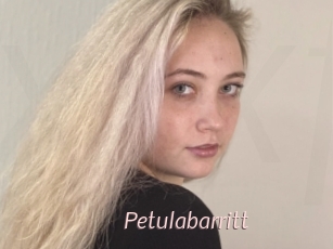 Petulabarritt