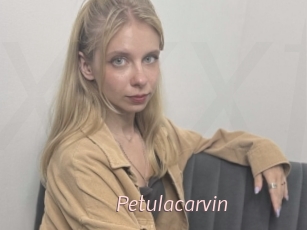 petulacarvin xxx Free Sites