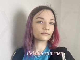 petulacrammer xxx Free Sites