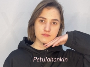 Petulahankin