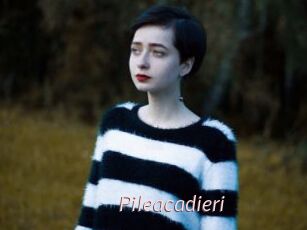 Pileacadieri