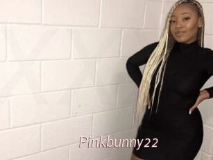Pinkbunny22