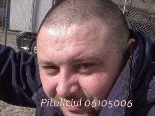 Pituliciul-06105006