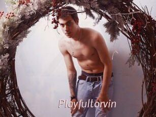 Playfultorvin