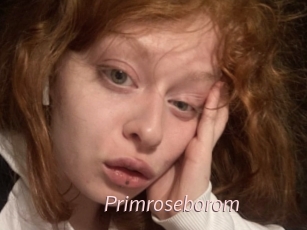 Primroseborom