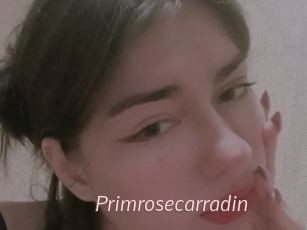 Primrosecarradin