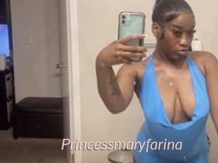 Princessmaryfarina