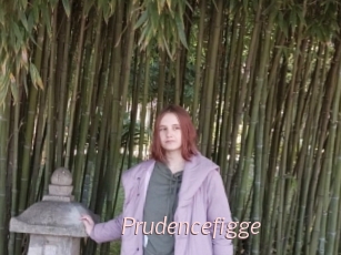 Prudencefigge