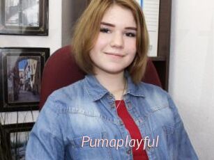 Pumaplayful