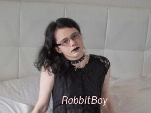 RabbitBoy