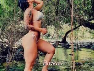 Ravens xxx Free Sites