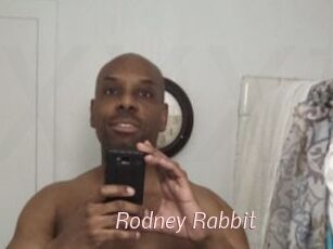 Rodney_Rabbit