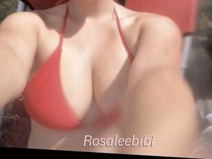 Rosaleebibi