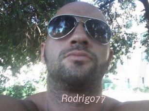 Rodrigo77