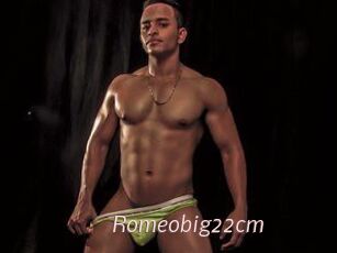Romeobig22cm