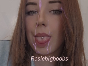 Rosiebigboobs