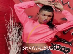 SHANTALBODOT
