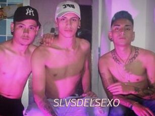 SLVSDELSEXO