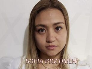 SOFIA_BIGCUMLW