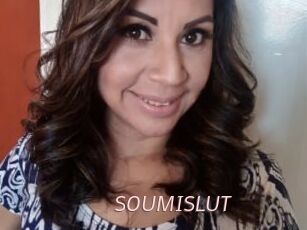 SOUMISLUT