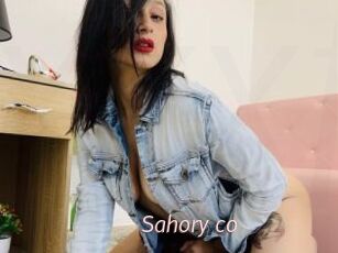 Sahory_co