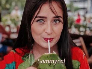 Sammycat