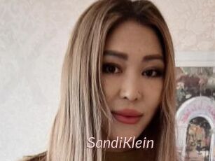 SandiKlein