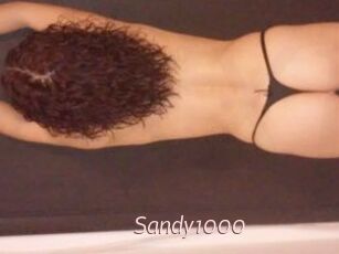 Sandy1000