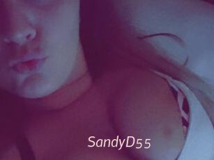 SandyD55