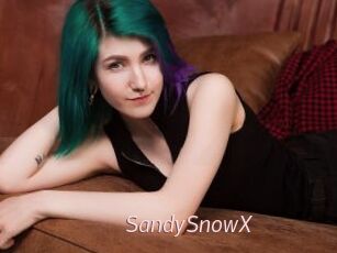 SandySnowX