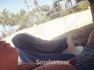 Sassharosse