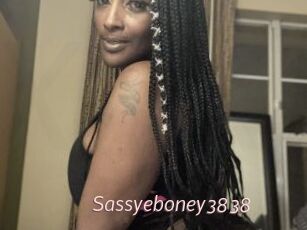 Sassyeboney3838