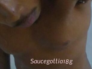 Saucegottia18g