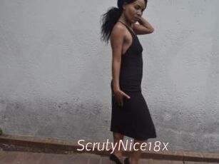 ScrutyNice18x