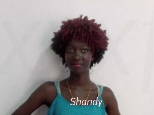 Shandy