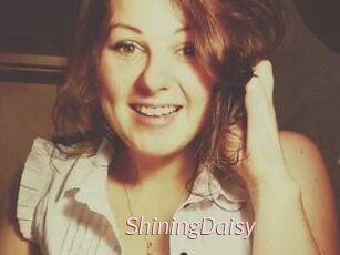 ShiningDaisy