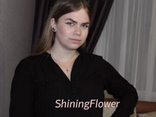 ShiningFlower xxx Free Sites