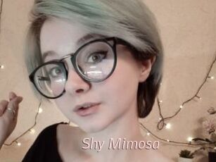 Shy_Mimosa