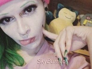 SkyBurrito