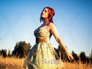 SkyDee