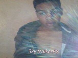 SkyWalker88