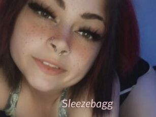Sleezebagg