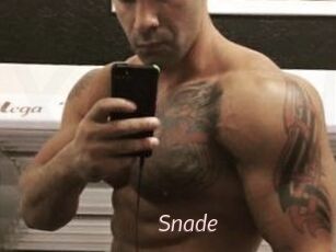 Snade