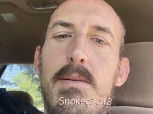 Snakec2018